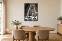 Jigokudani Monkey Park